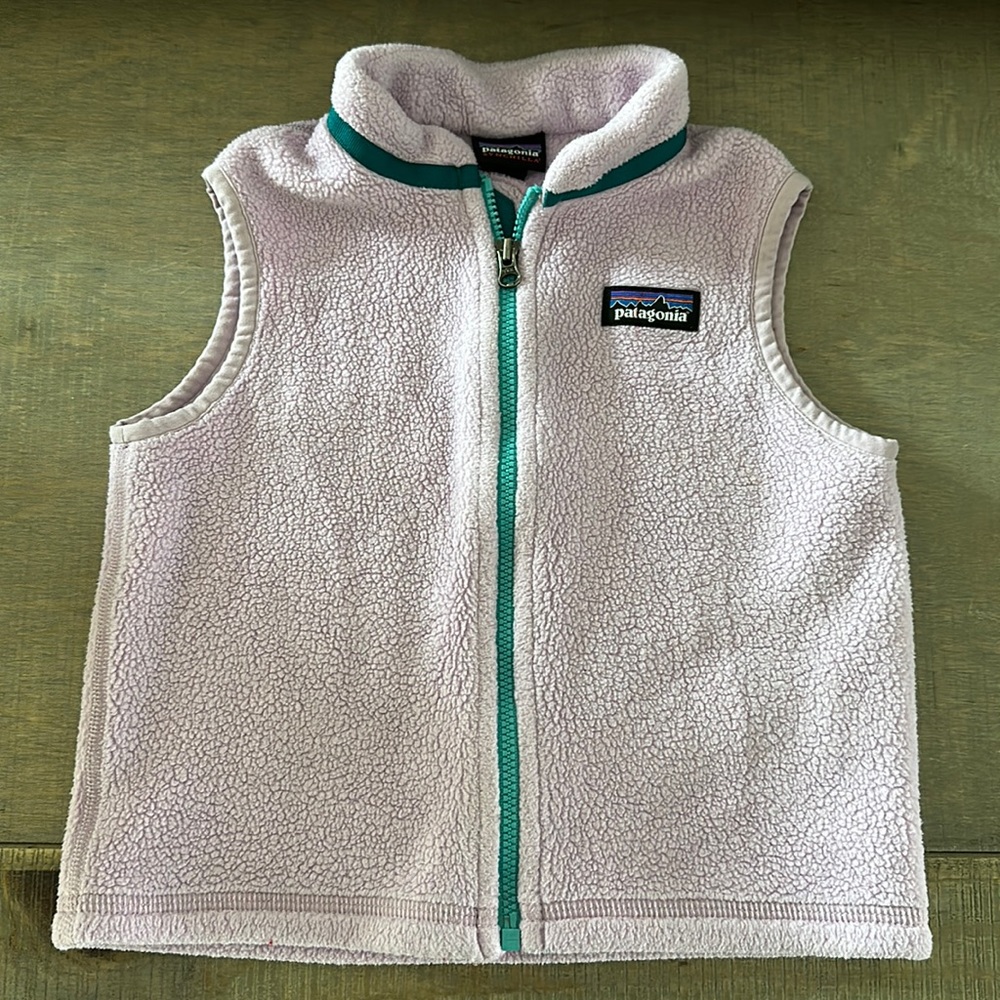 Patagonia Synchilla Vest